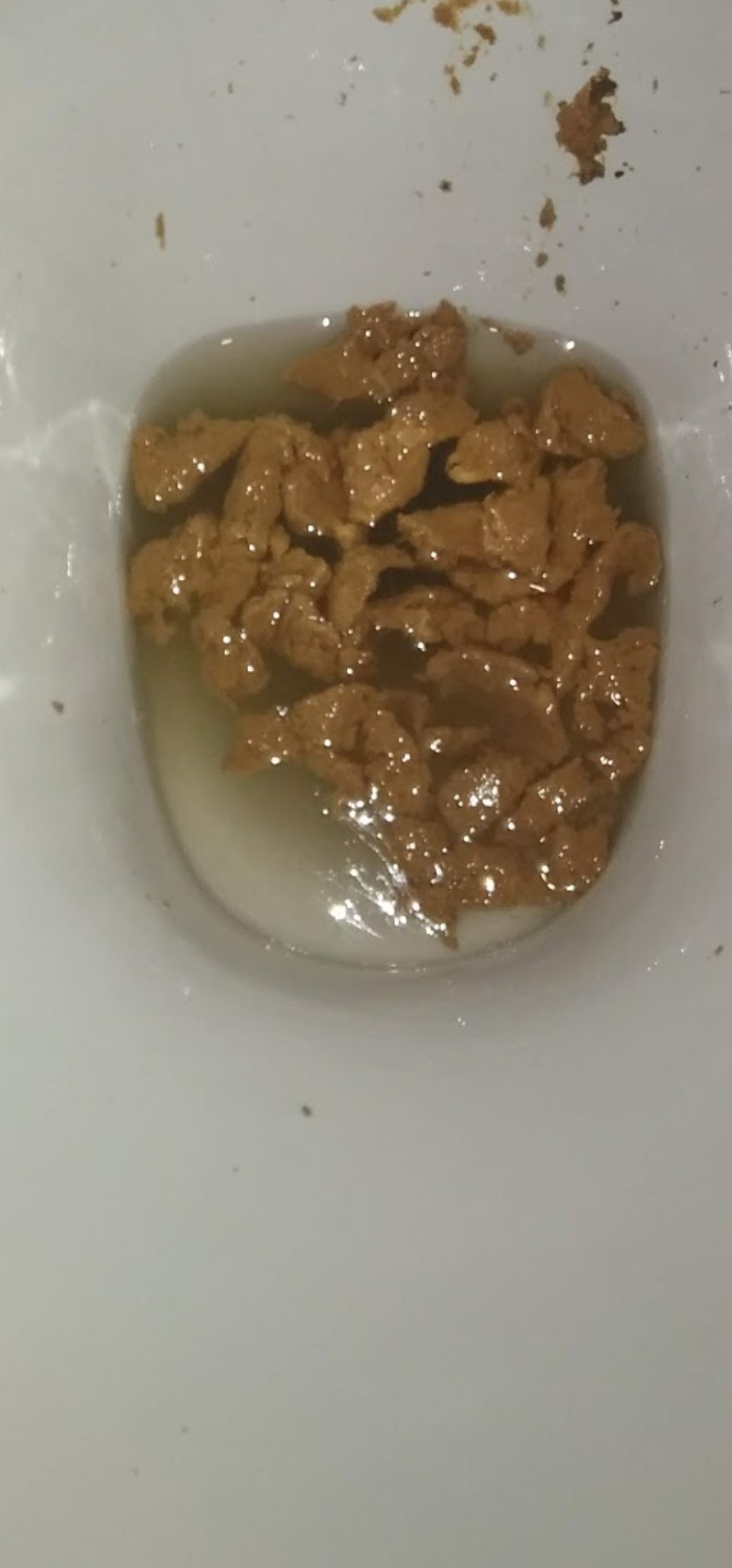 Having a good loose farty shit on my friends toilet this morning