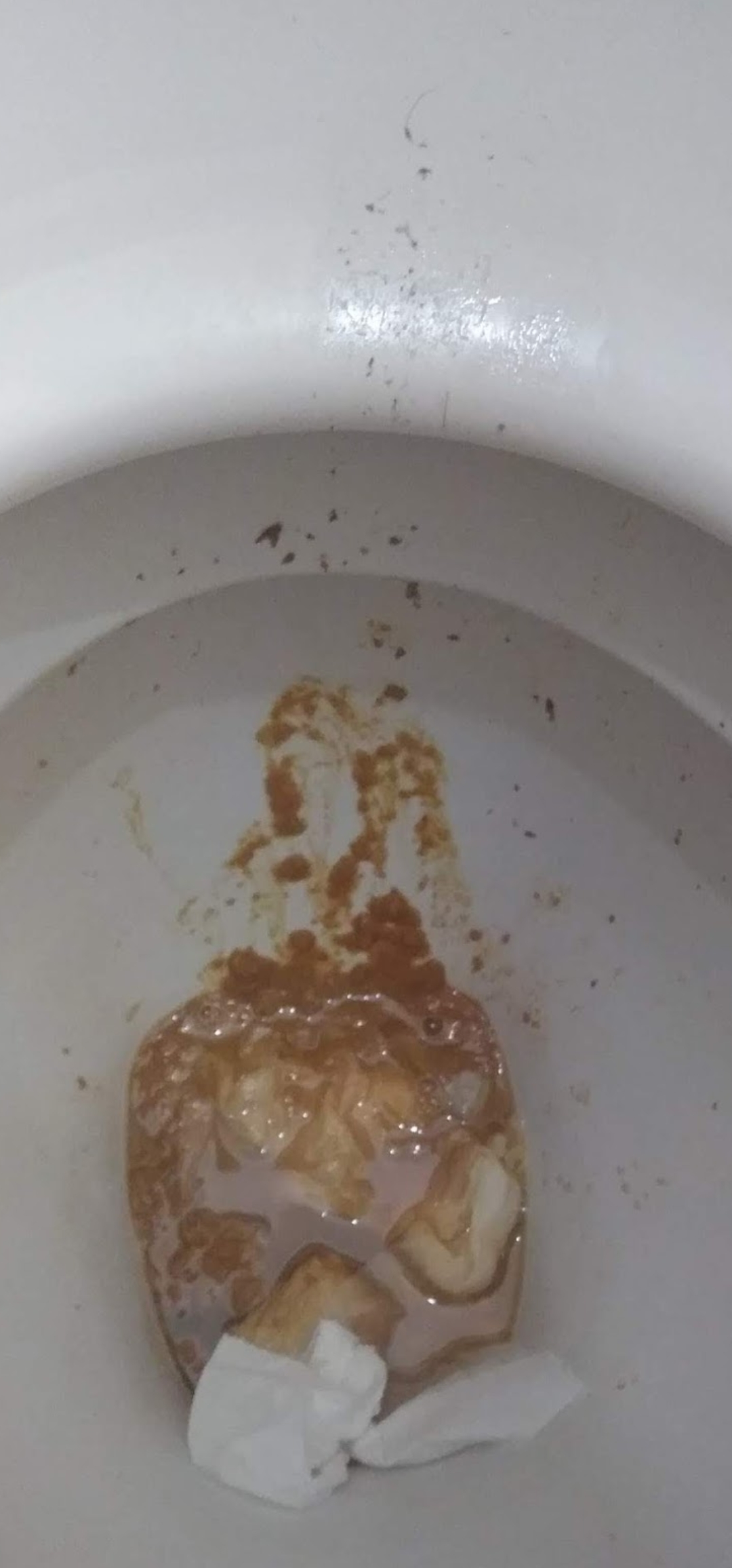 Having another loose farty shit on my mates loo before work