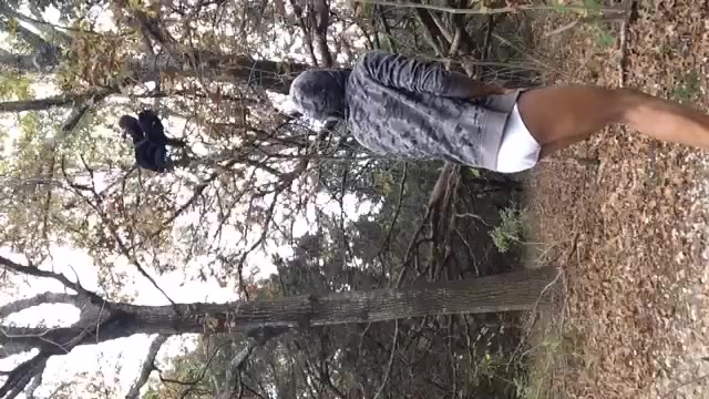 Lost Pants in Tree