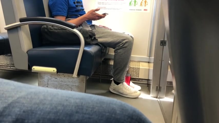 Public Train - Show off, Jerk off and Cum