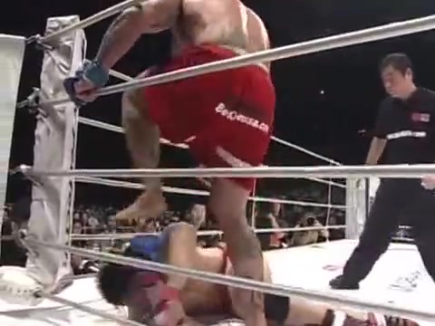 MMA Fighter Soccer Kicks and Head Stomps Opponent