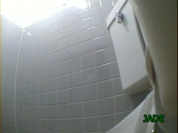 Japanese toilet voyeur says