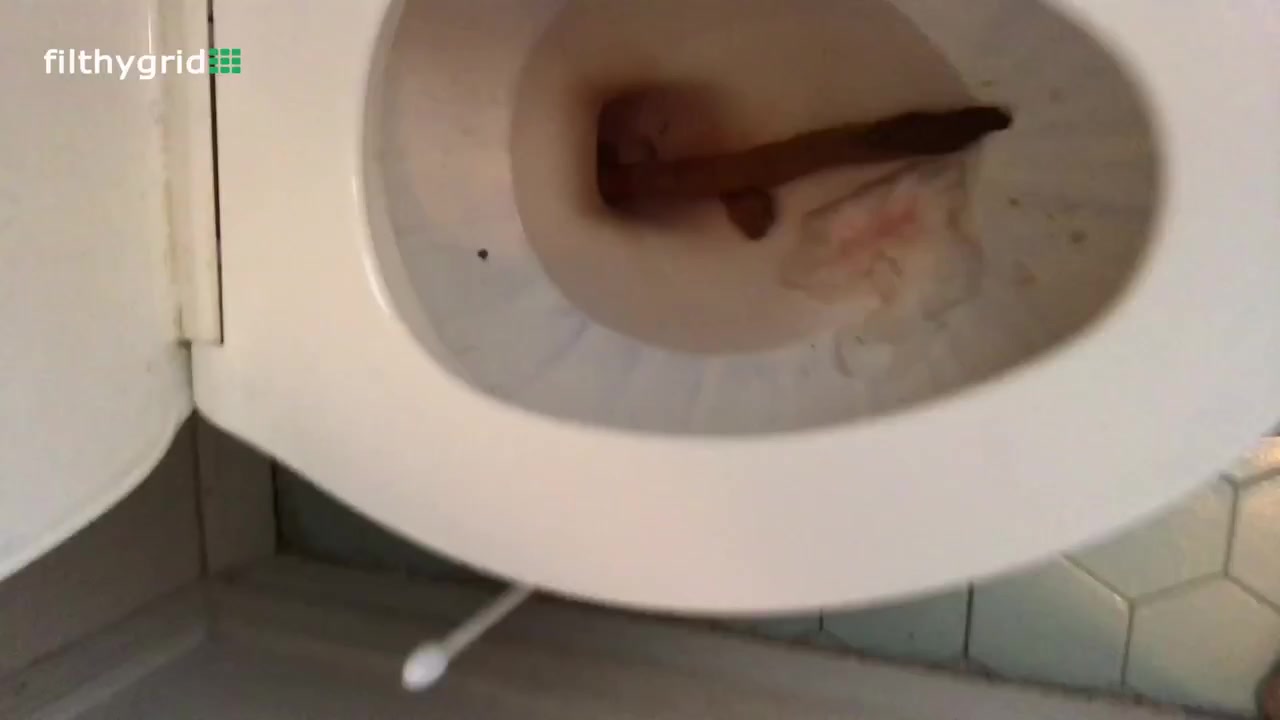 BBW toilet Turd