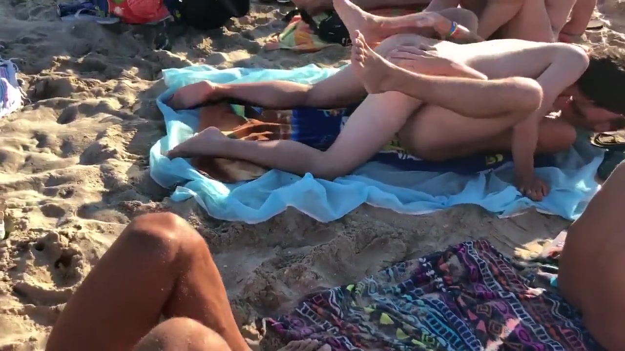 More pigs fucking on crowded beach