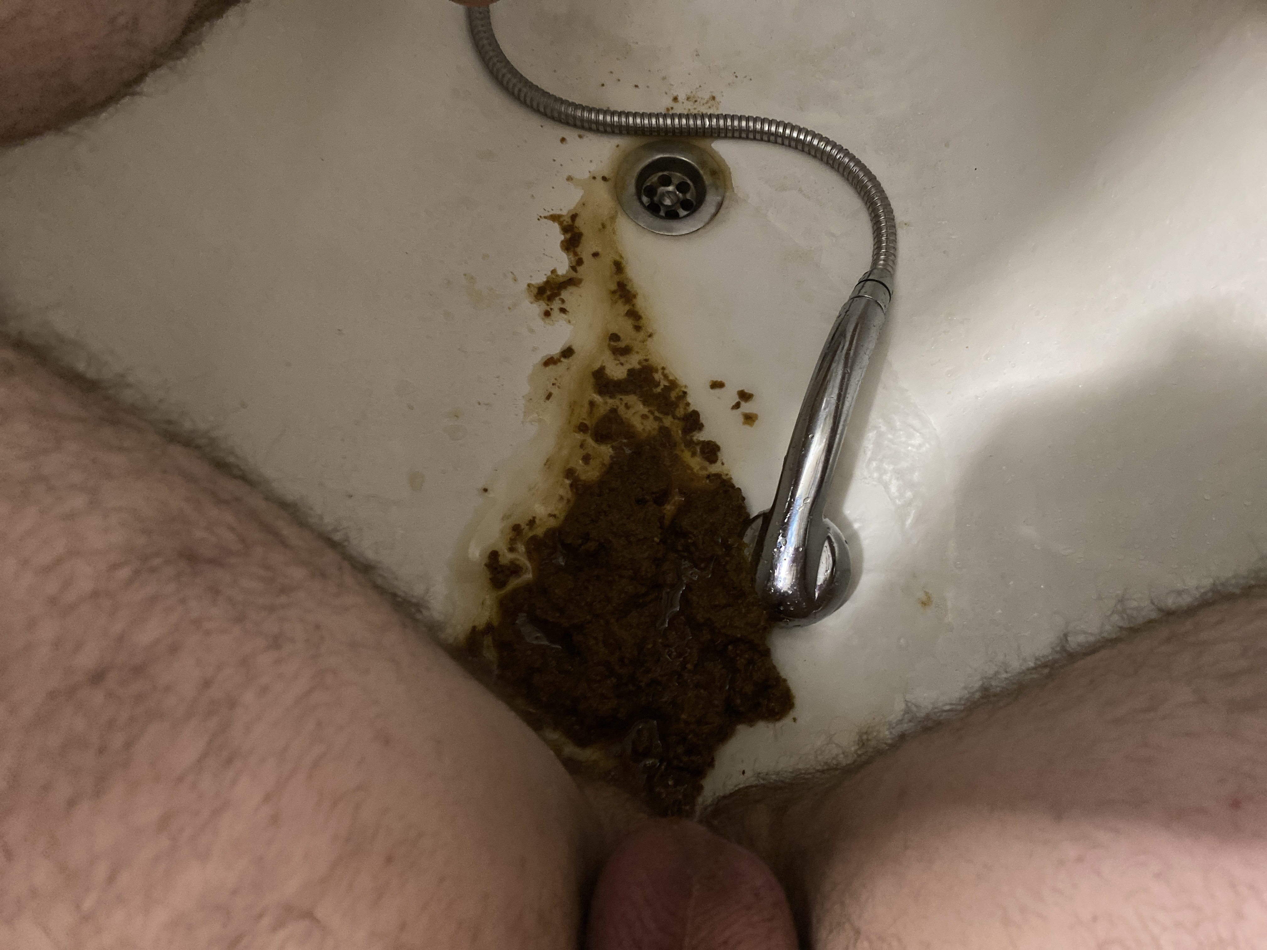 Scat and pissing