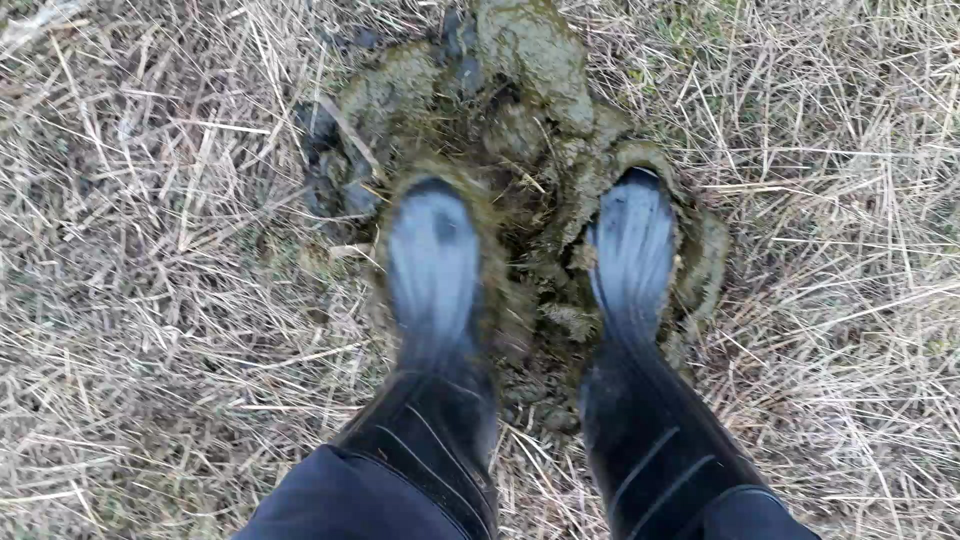 Rubber boots vs cowshit - video 22