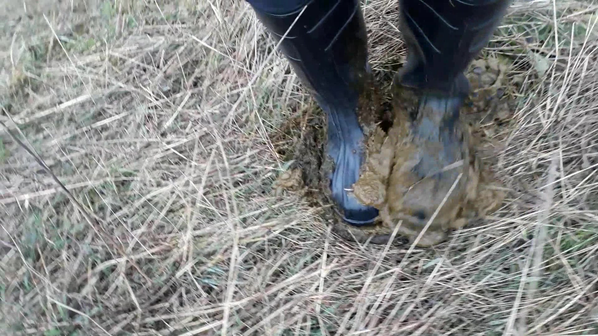 Rubber boots vs cowshit - video 23