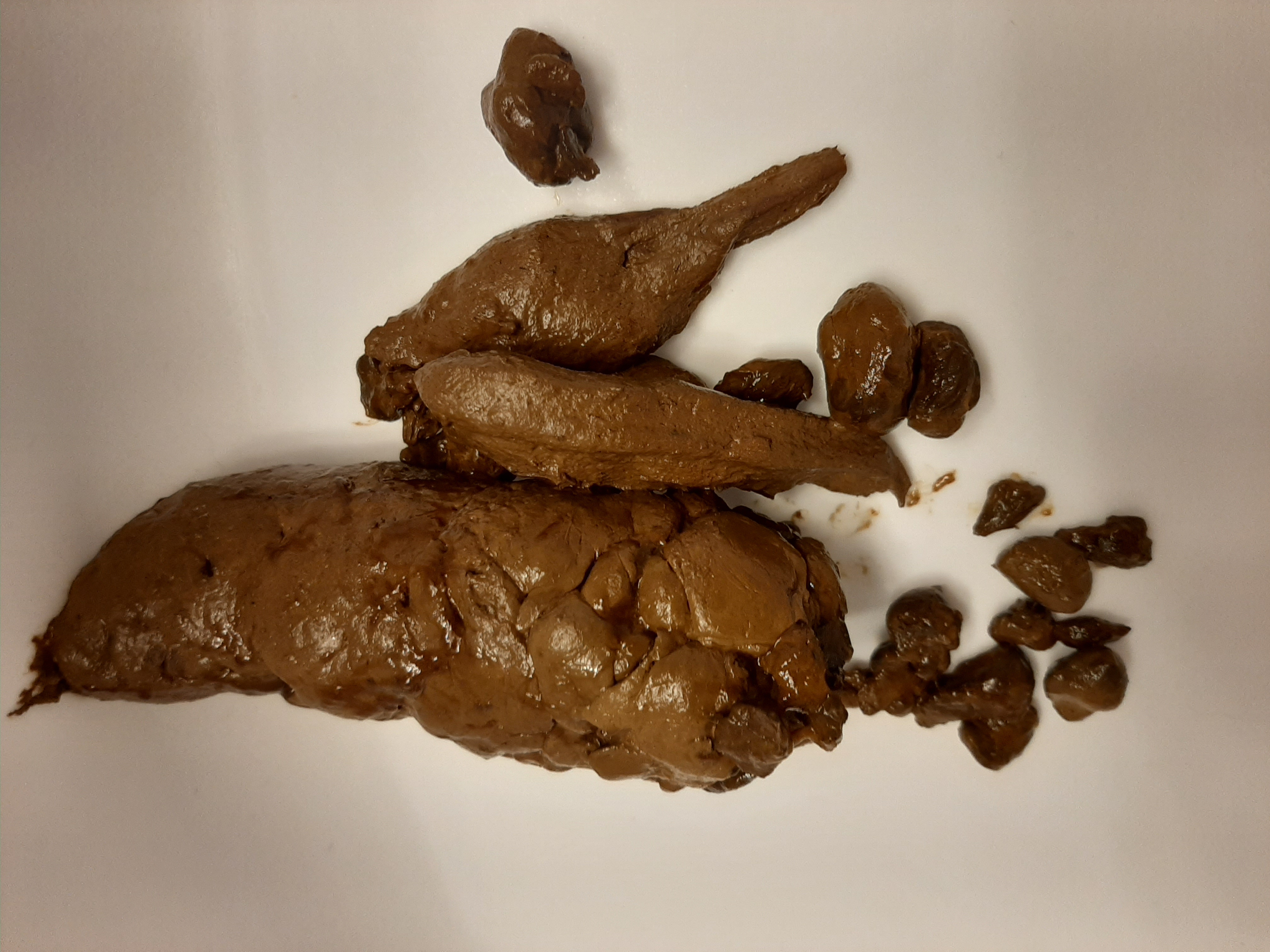 Turd nuggets for you to swallow one by one. Then attempt the log!