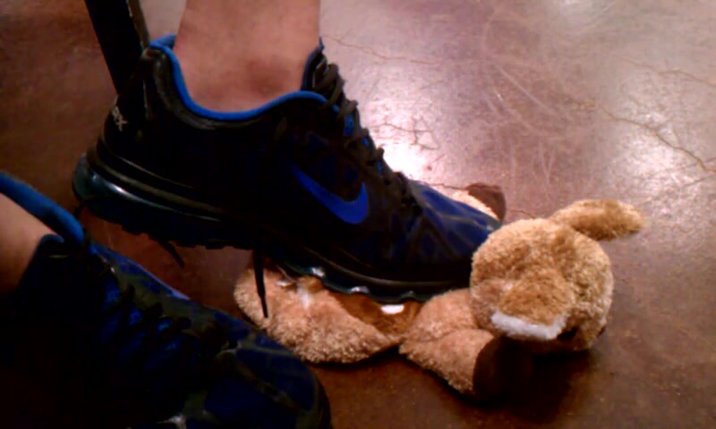 An old classic of Nike Air Max vs. Plush Toy