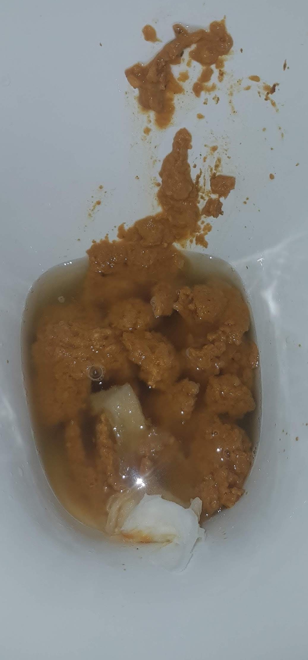 Desperate Friday morning loose shit on my friends loo
