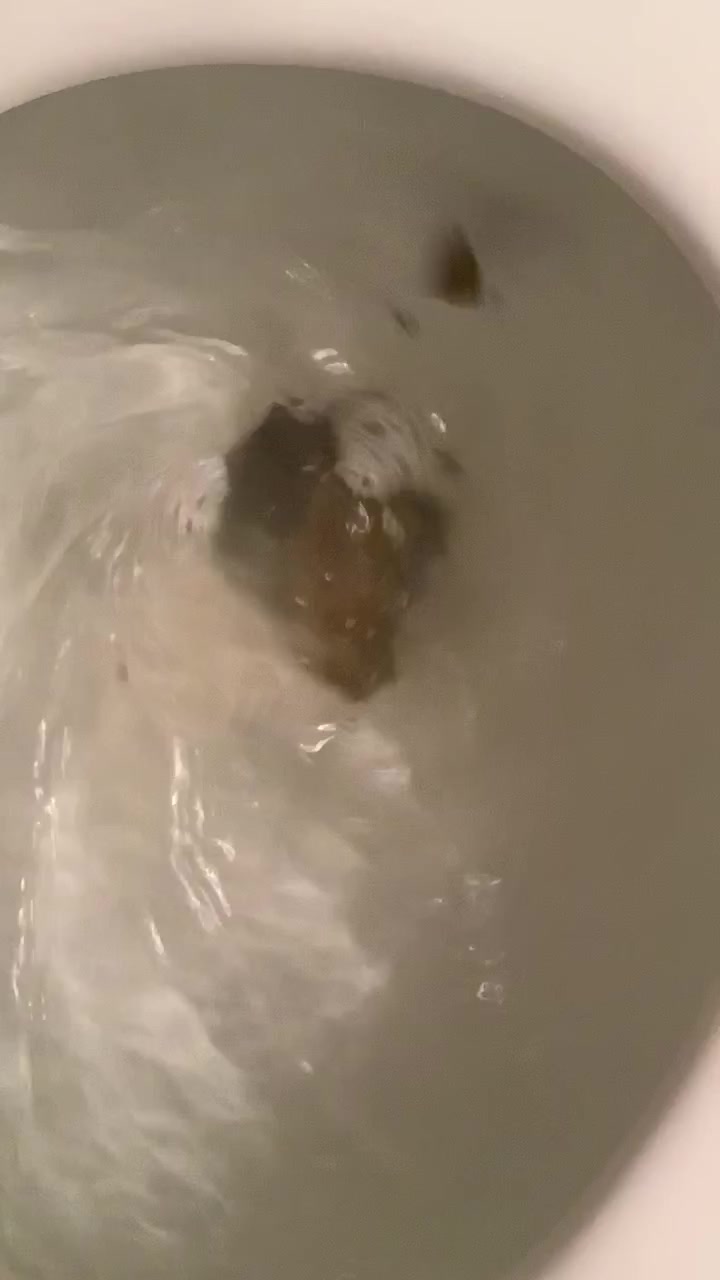 Poopie flush 2 of 3