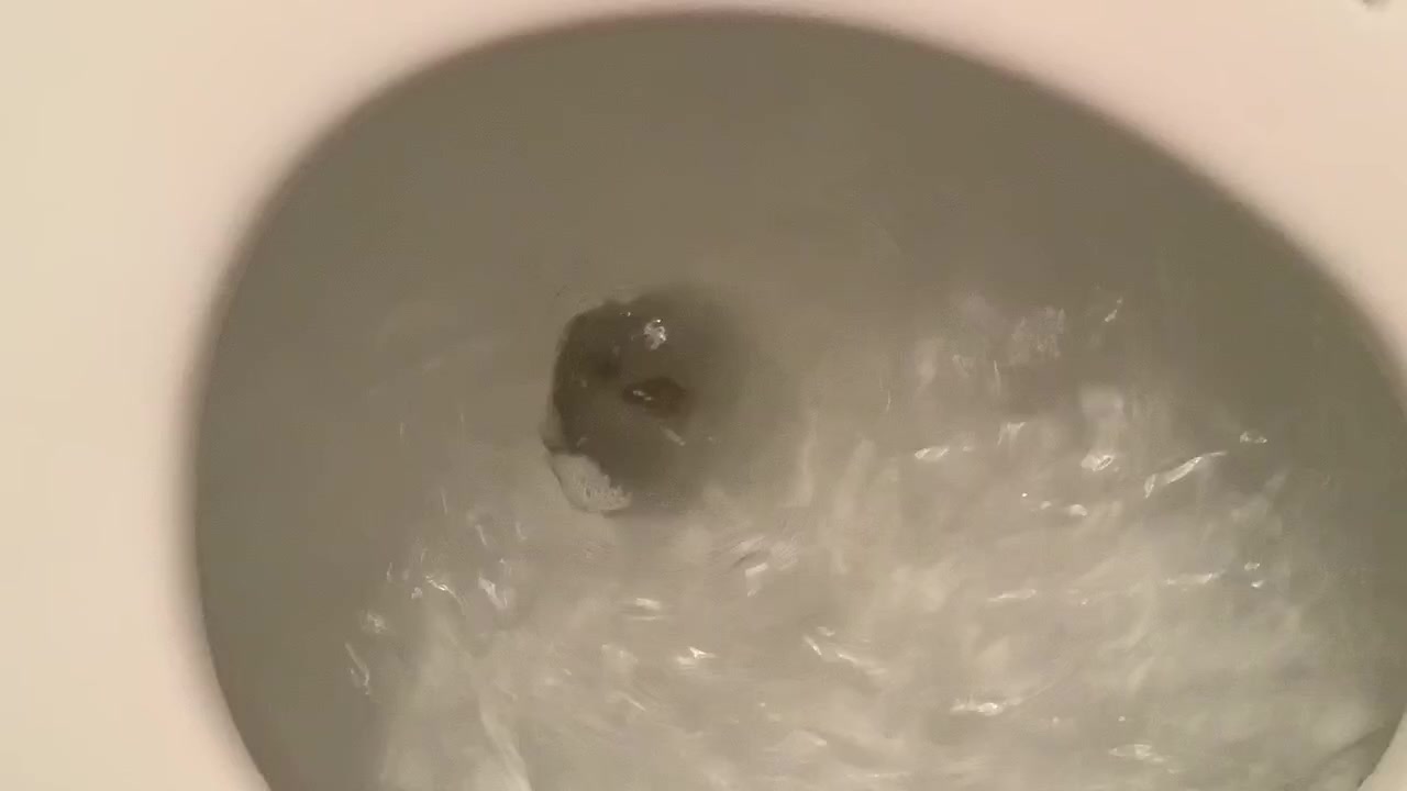 Poopie flush 3 of 3