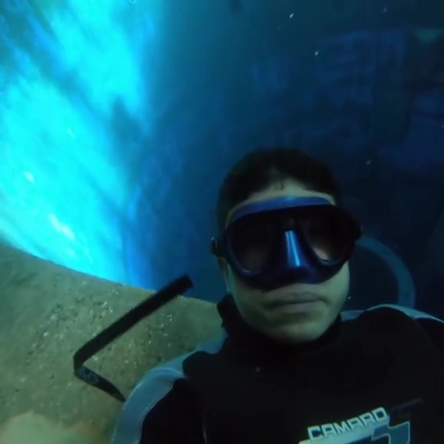 Freediver in wetsuit breatholding underwater