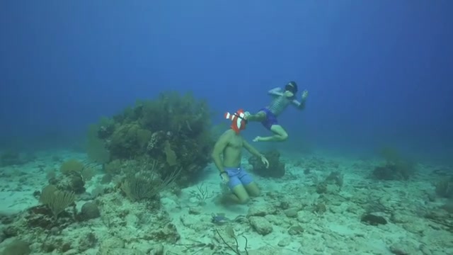 Underwater fighting freedivers