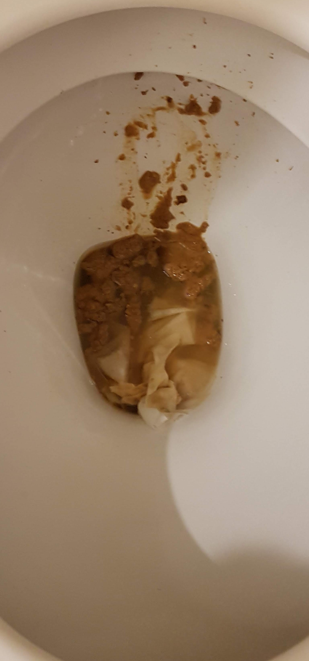 Very early morning loose shit on my mates loo after kebabs
