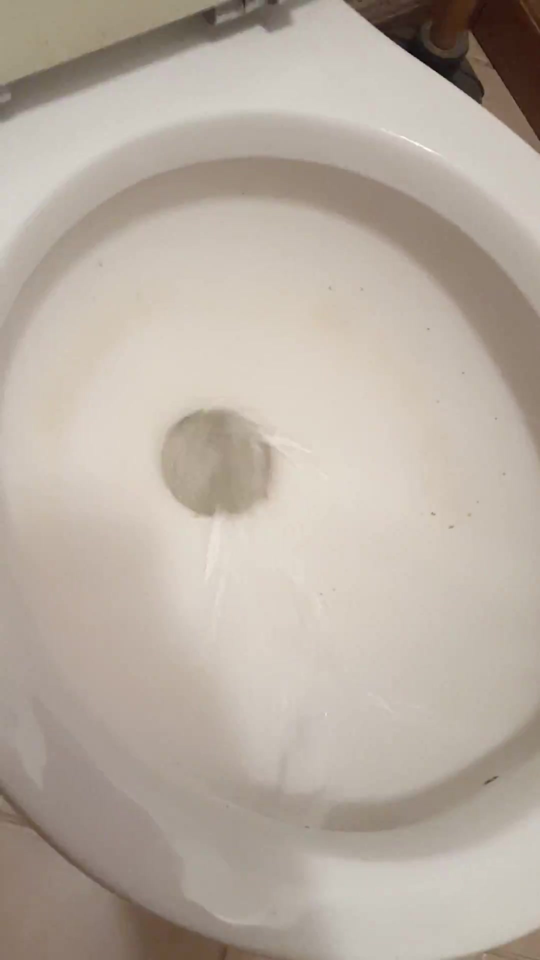 Big shit nearly clogs toilet