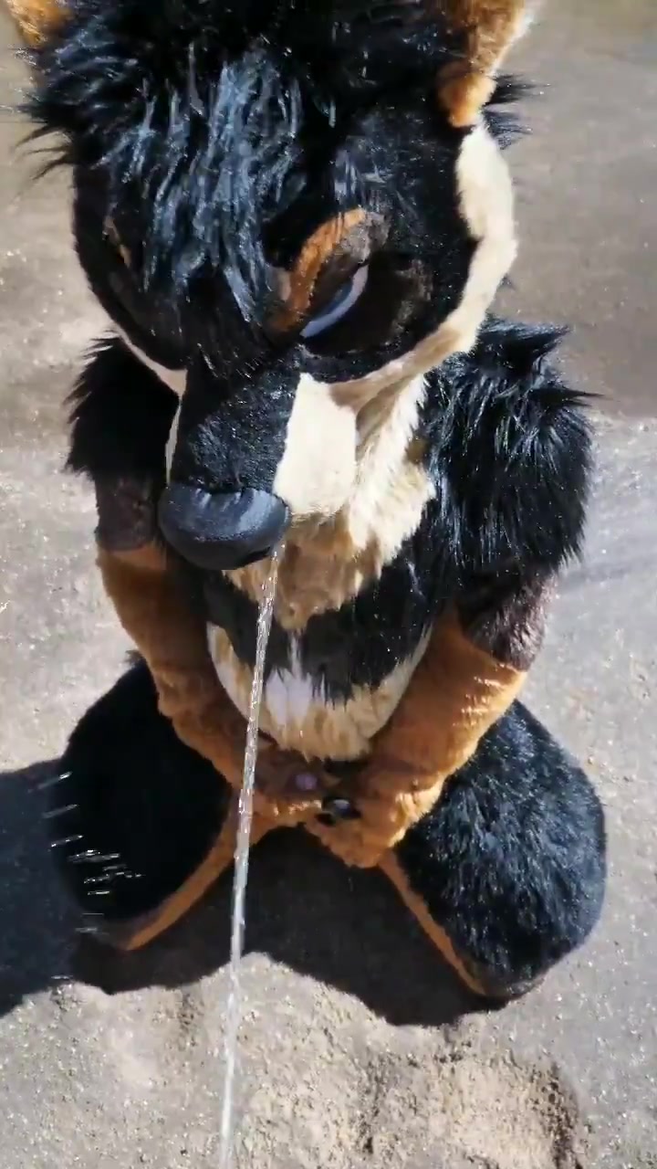 Yiff Piss Porn - Watersports: another fursuit piss video - ThisVid.com