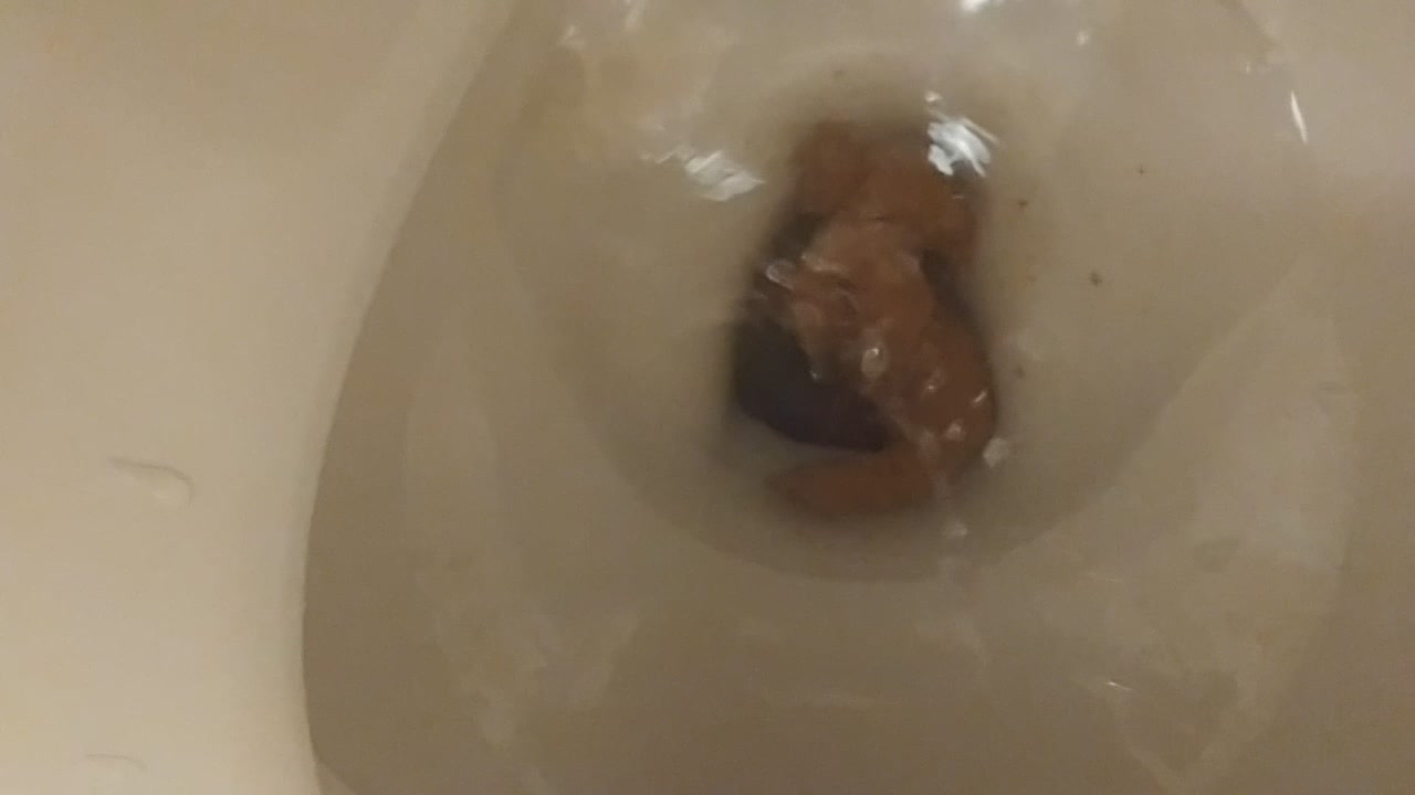 Me - Shitting in toilet