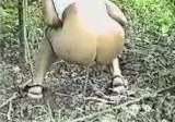 (LOW QUALITY) Vintage Girl Taking a Dump in the Forest
