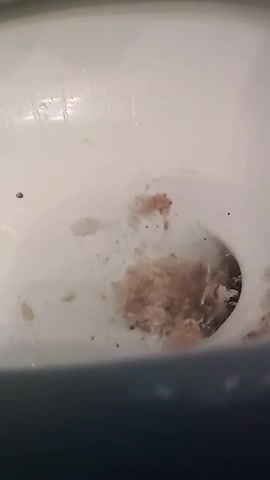 girl vomited in the toilet
