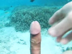 240px x 180px - Fish Videos Sorted By Their Popularity At The Gay Porn Directory - ThisVid  Tube