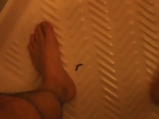 worm in the shower