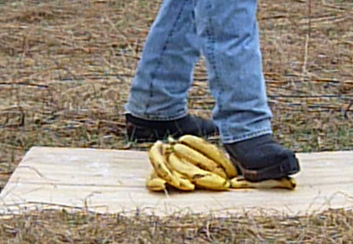 Banana stomp - video 2
