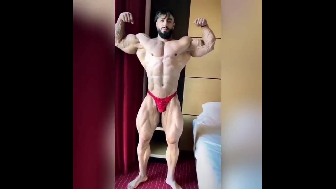 Big Arab Musclebull Biceps