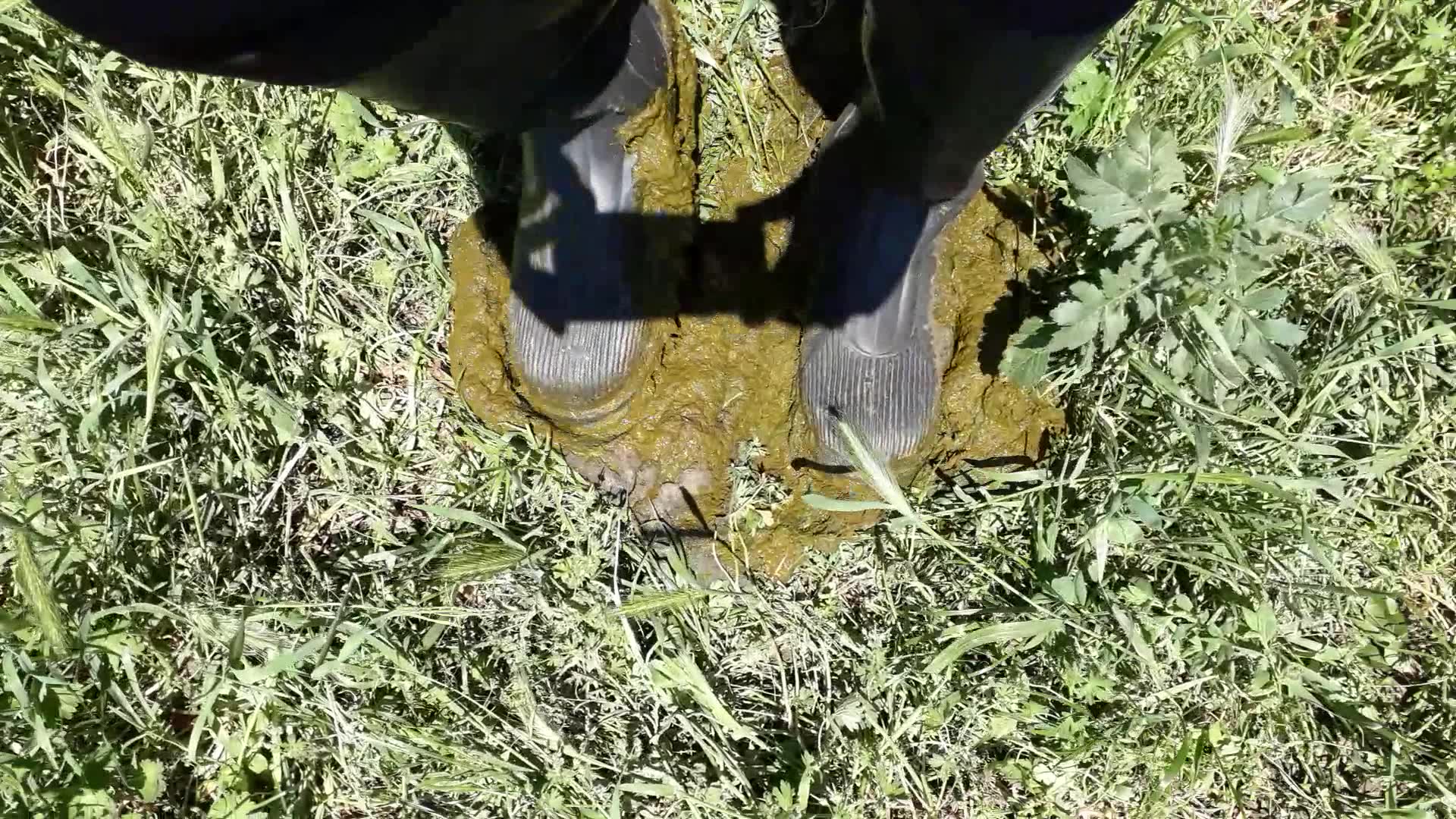 Rubber boots vs cowshit - video 27
