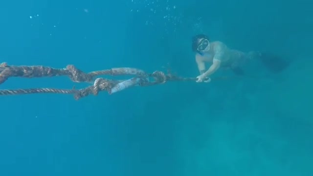 Long haired cutie diving underwater in sea