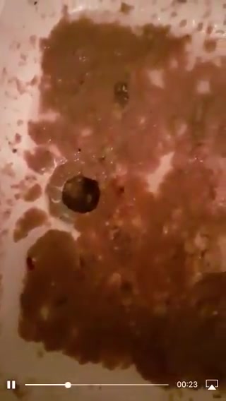 Guy puking in sink