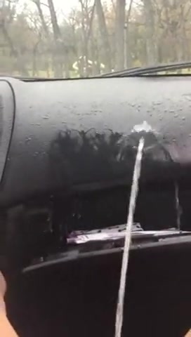 Woman pissing inside of car