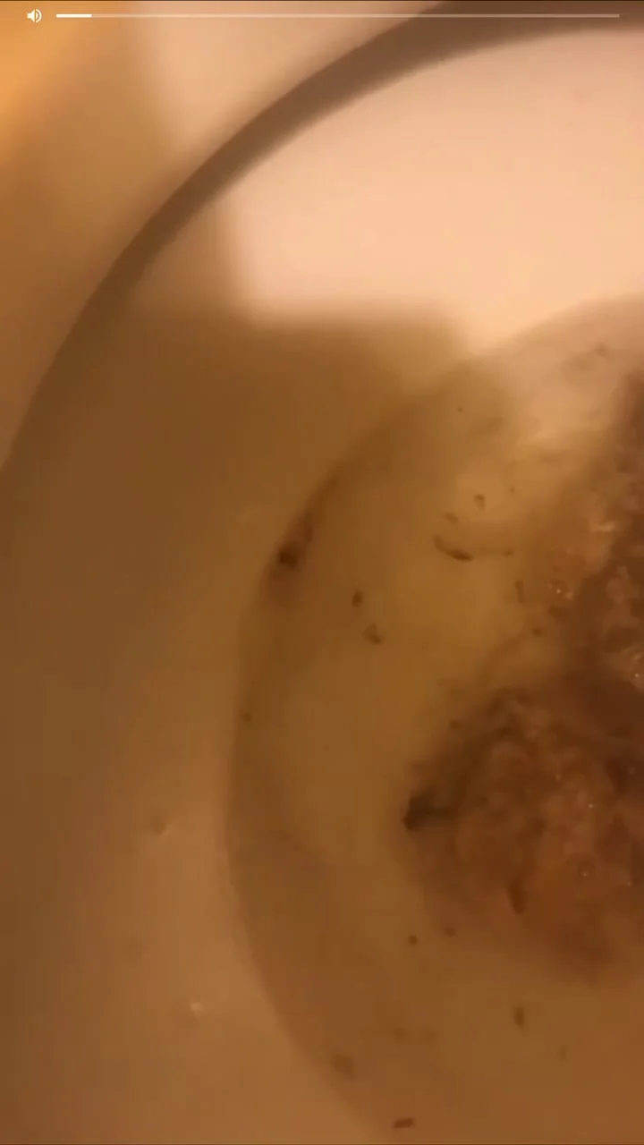 Girl toilet food poisoning xxx