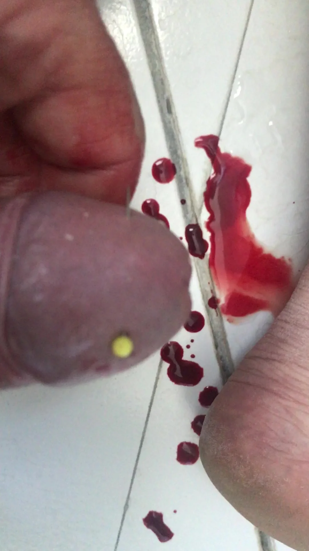 Needle Through Bloody Cock T