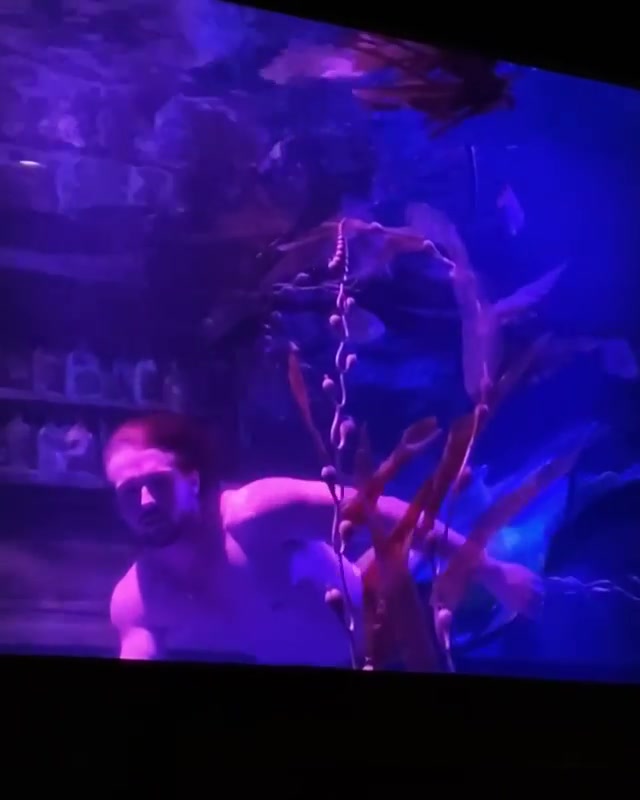 Underwater barefaced cute merman