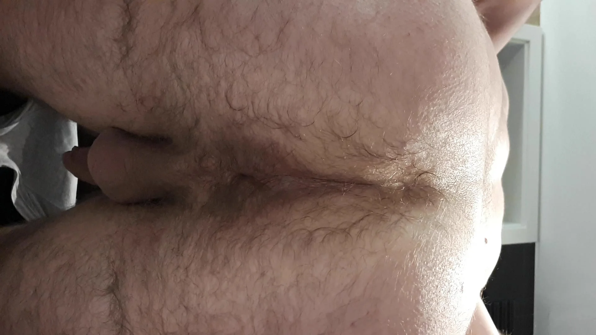 Gay Hairy Ass Scat ThisVidcom