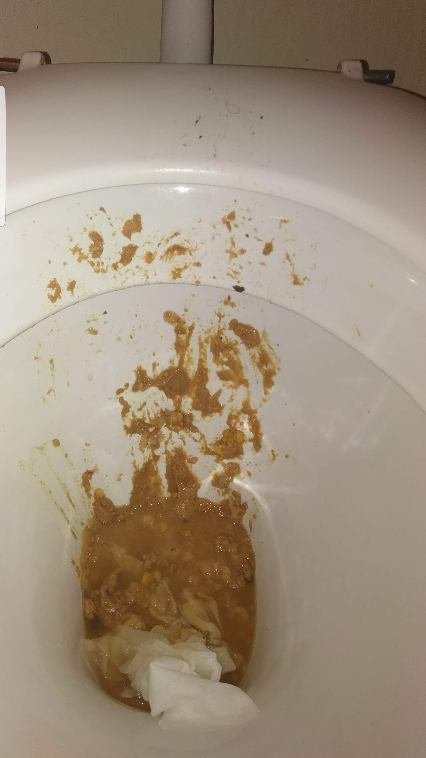 Farty diarrhea on my mates loo after work this afternoon