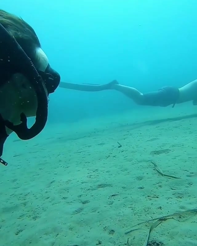 Cute freediving buddies underwater