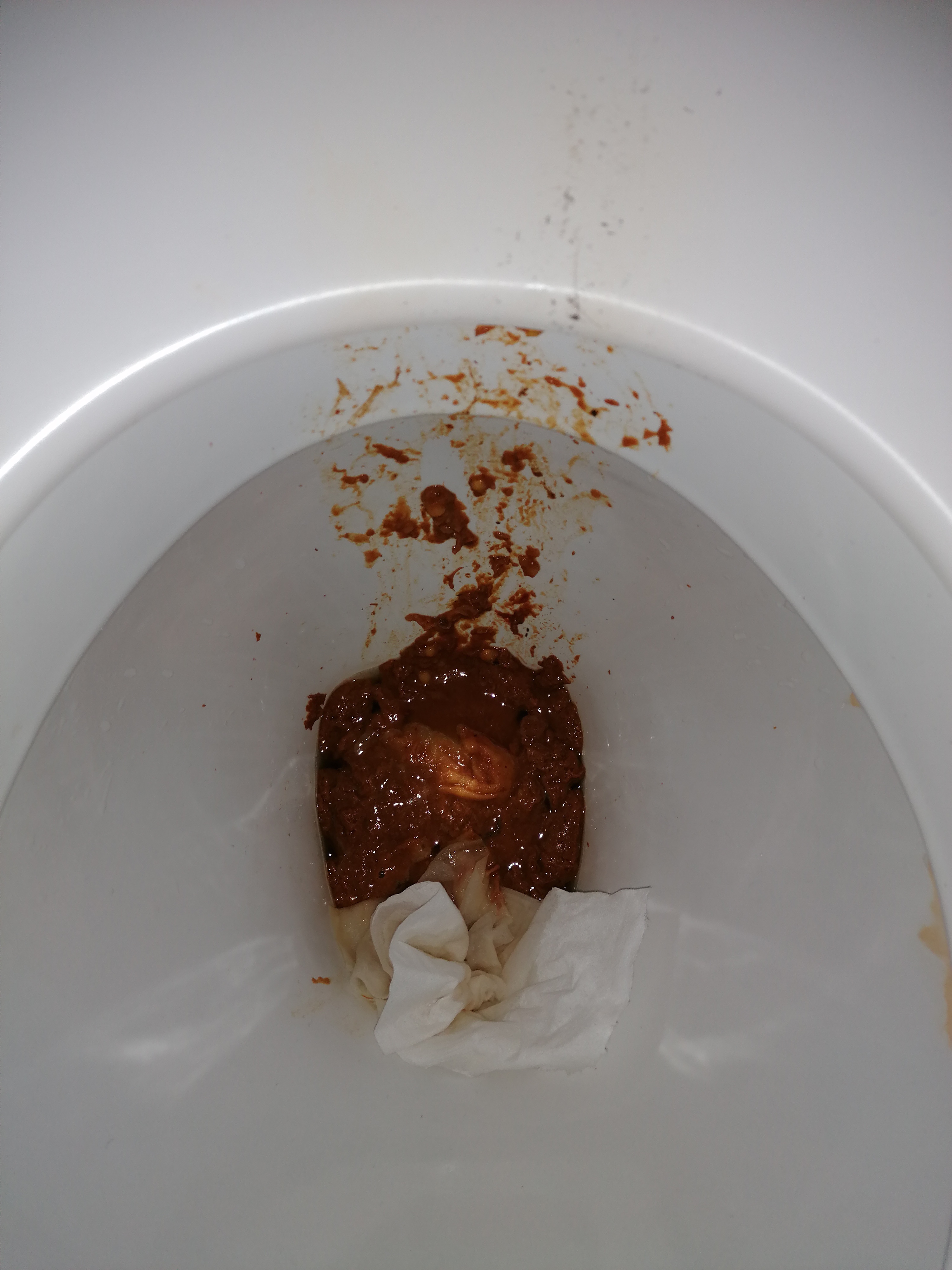 Early morning wet shit on mates loo