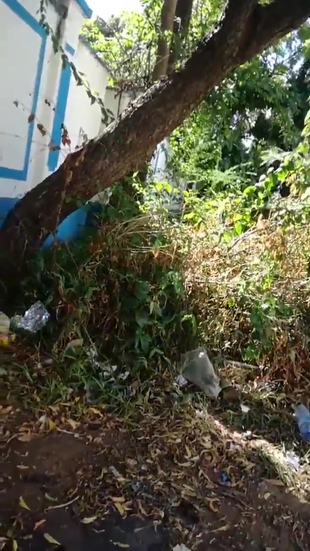 Homeless - video 6