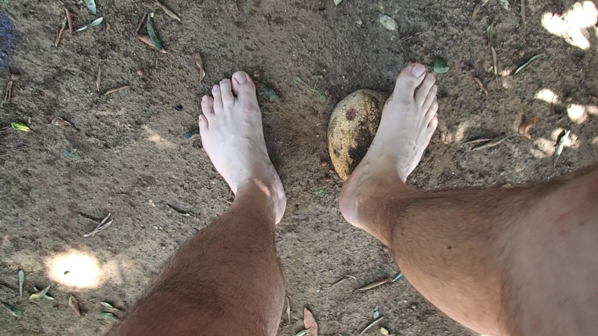 melon & feet