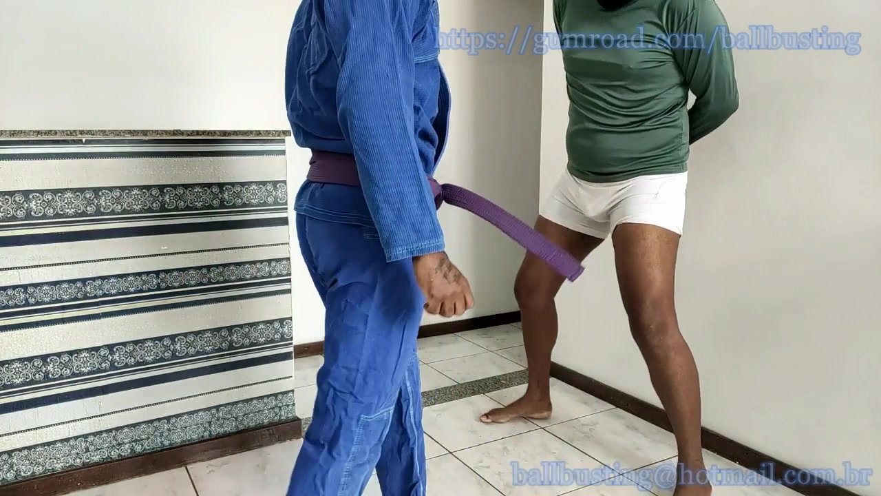 Master Fighter (Brazilian Jiu-Jitsu)