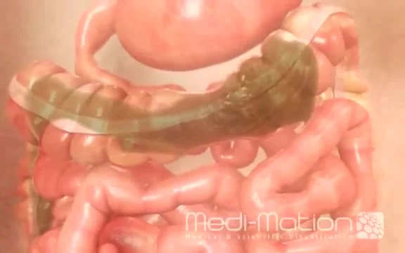 3d Porn Giantess Digest - Digestion Animation - ThisVid.com