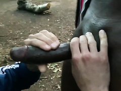 Pig finds huge BBC on the trail