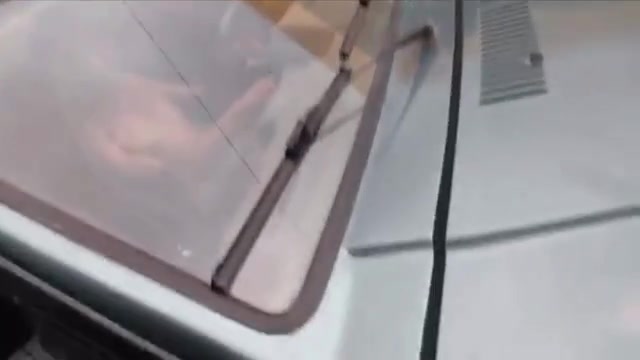 WF: Asian man caught jerking in auto