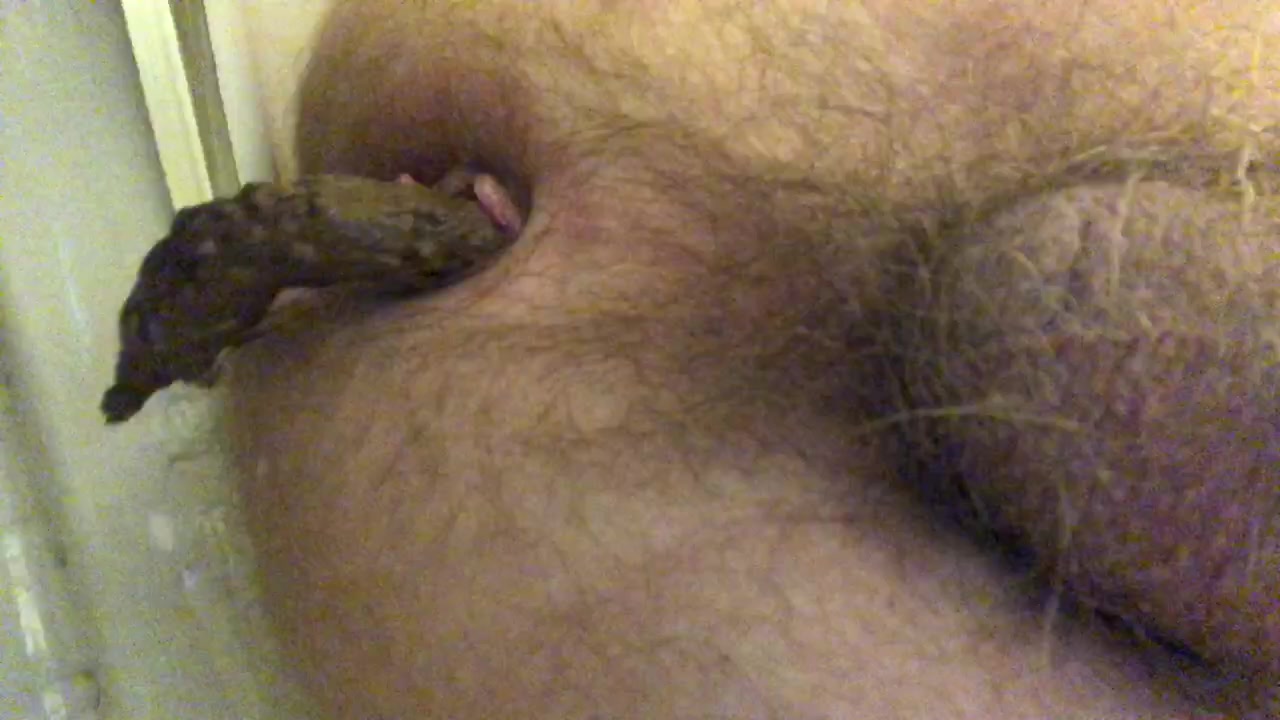 Piss and shit - video 26