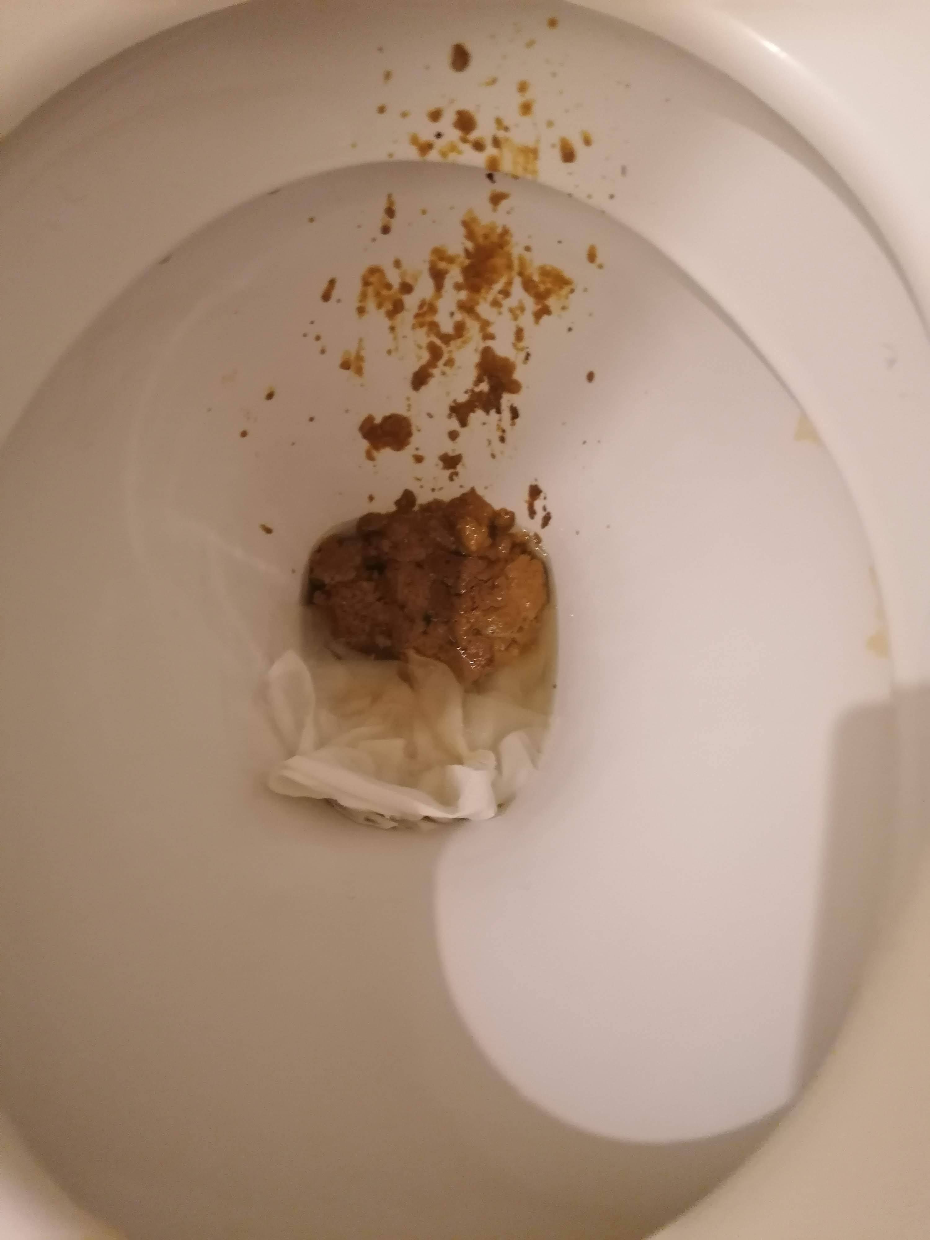 Super desperate shit on mates loo after work not long ago