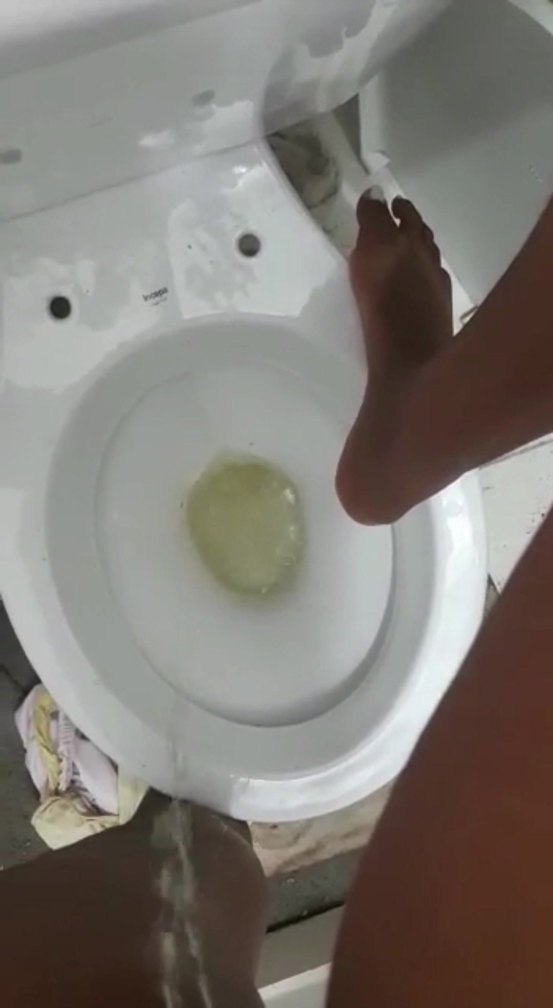 Ebony brazilian queen piss in toilet