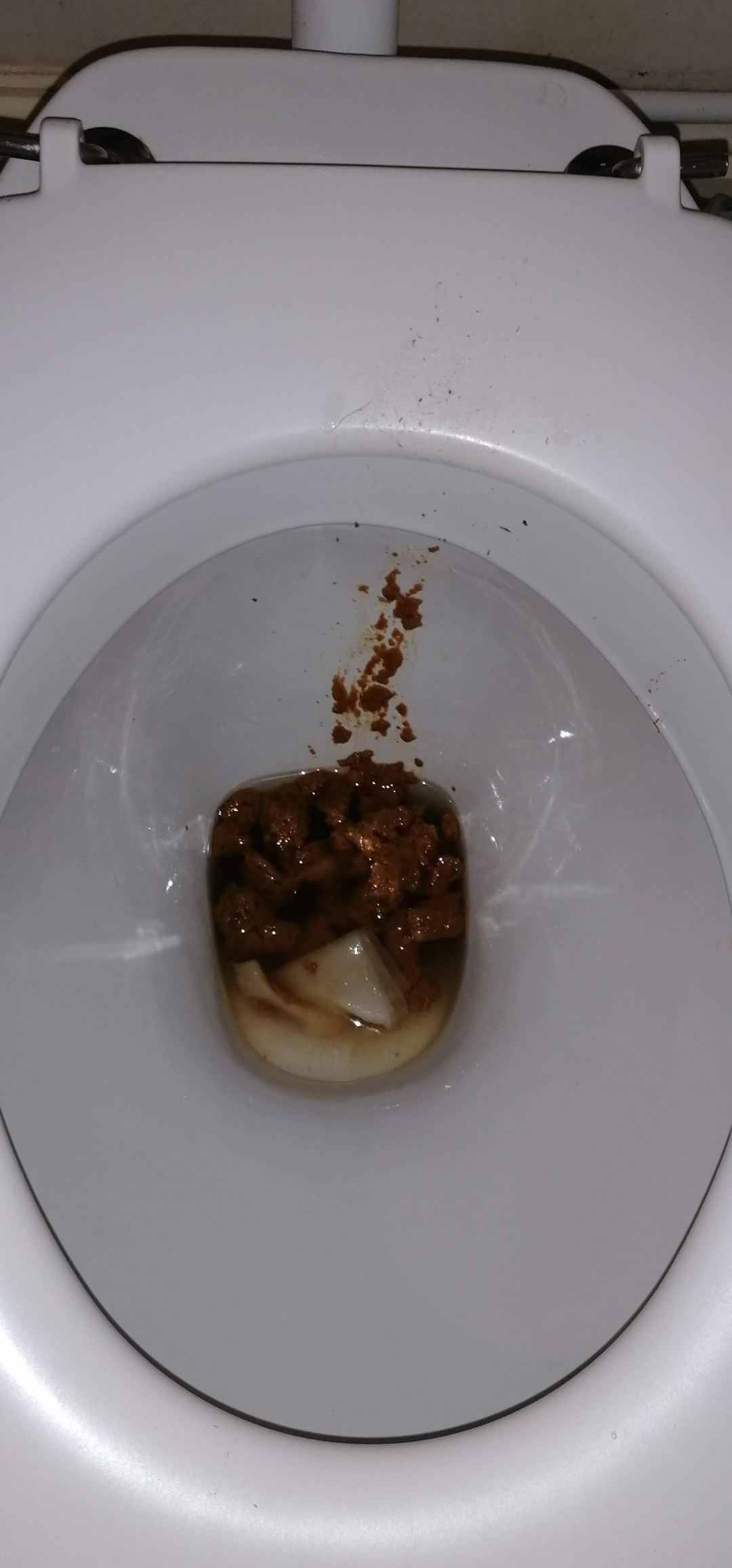 Having a loose shit on my mate toilet before work this morning
