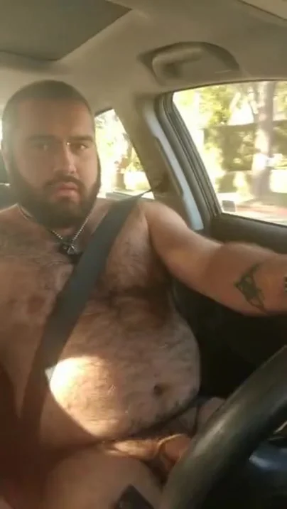 Bear Gets Naked And Nuts While Driving